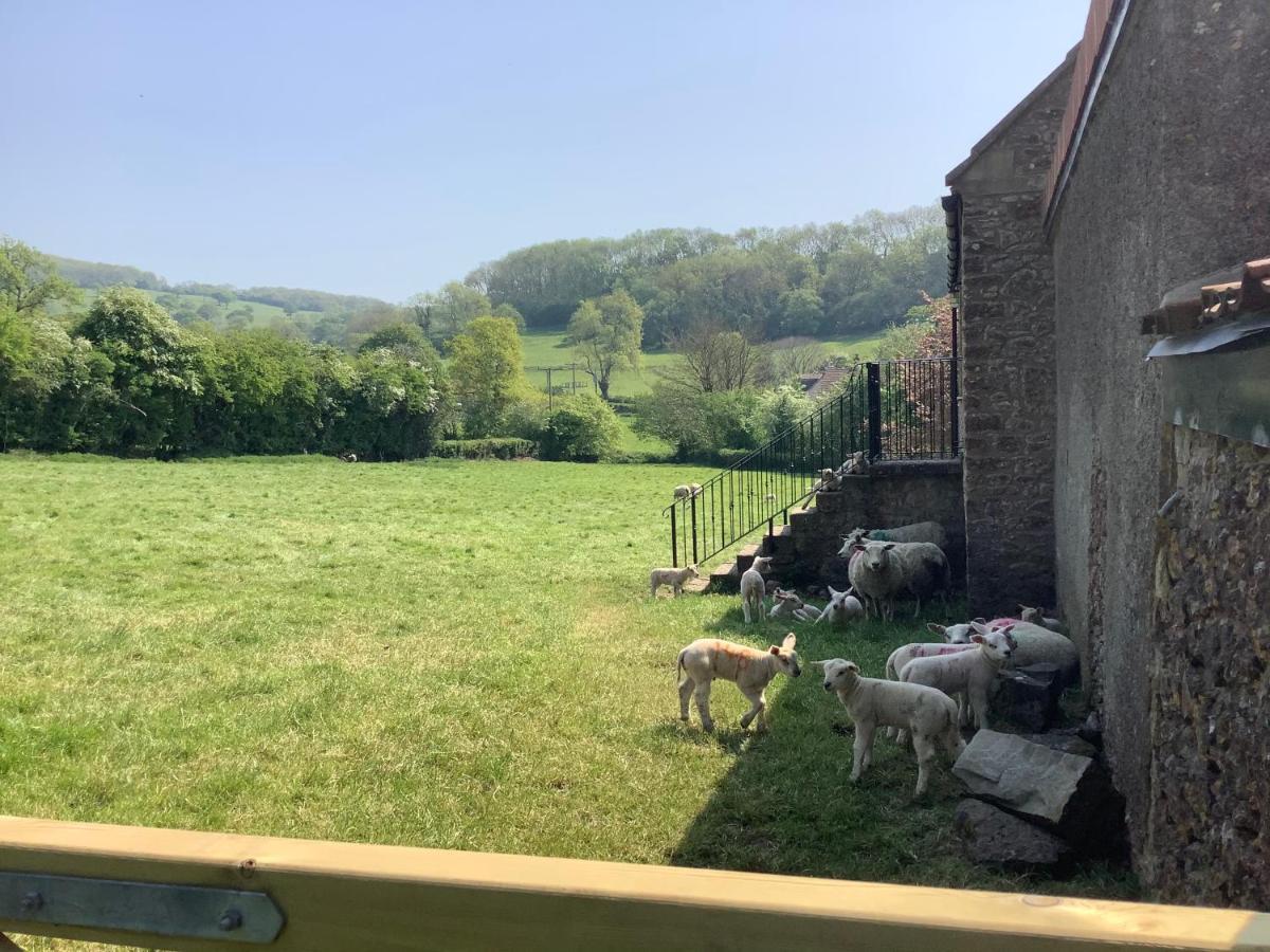 Hayloft Villa Cheddar Dış mekan fotoğraf